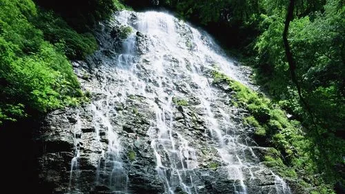 智能化高端